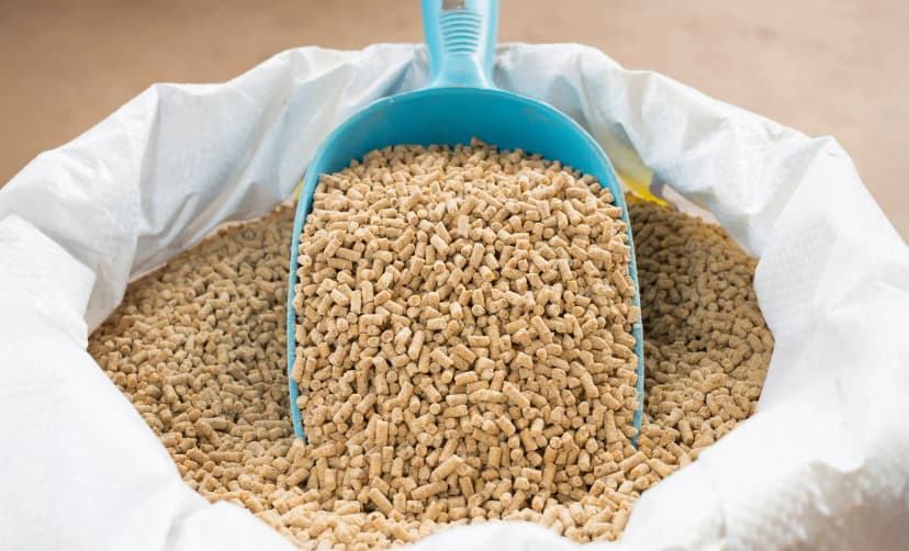 feedCompany.description